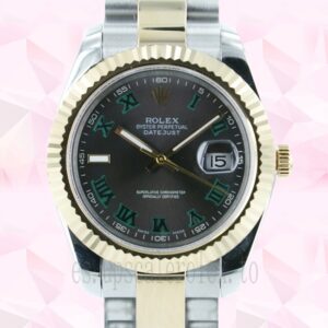 Rolex Datejust De Los Hombres 116233GYRO 36mm Tono Plateado
