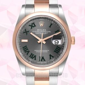 Rolex Datejust m126201-003 De Los Hombres 36mm Pulsera De Ostras Automático